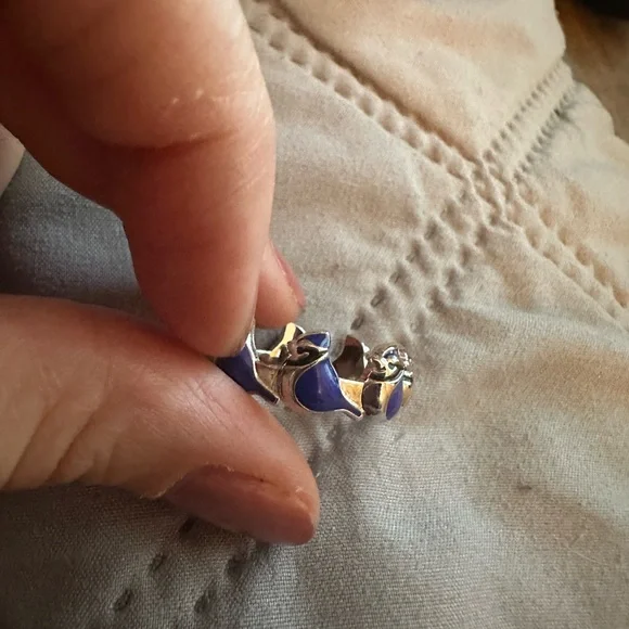 Blue Jay Jewelry Set - Picture 5 of 6